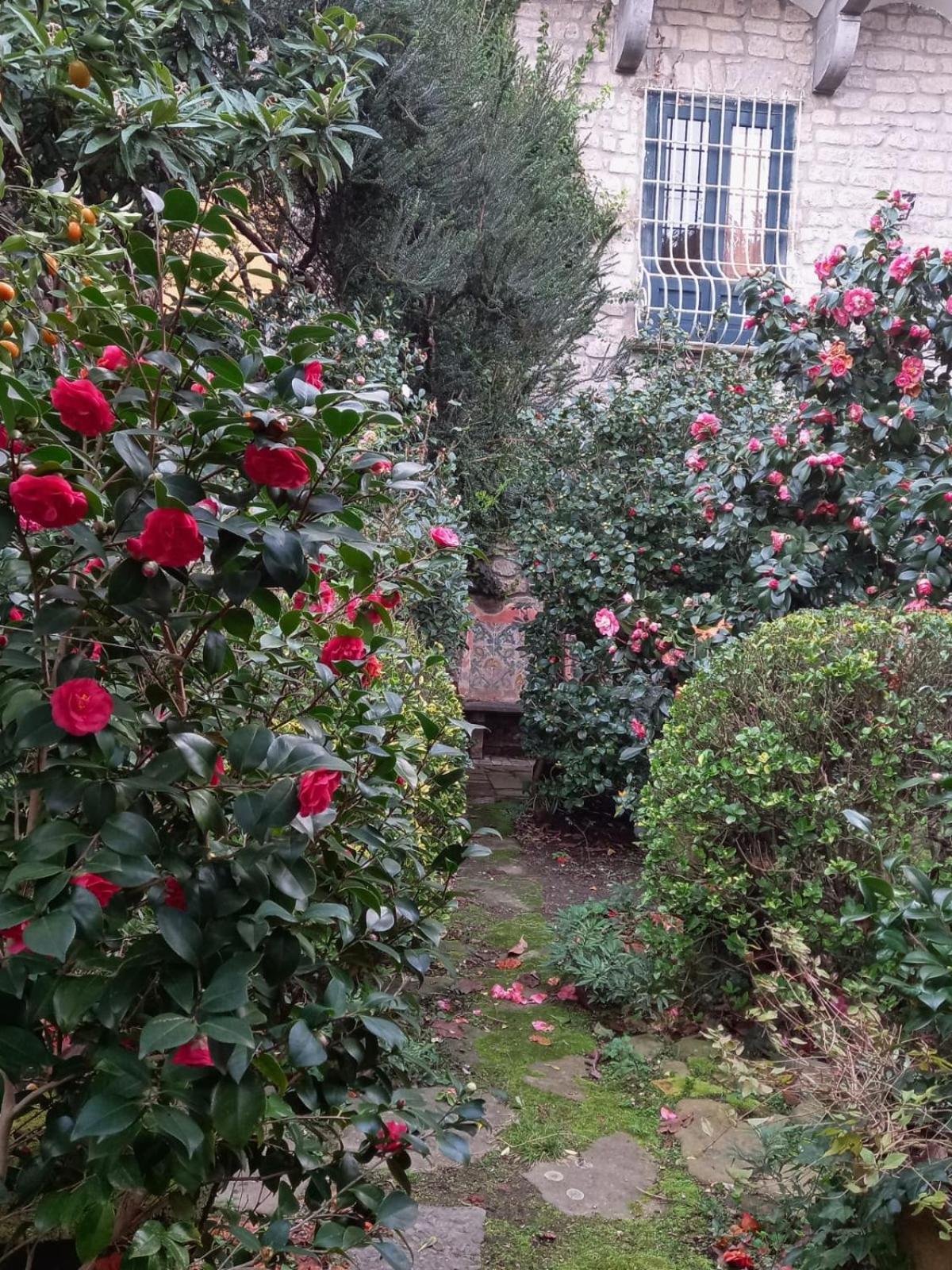 L'Antica Dimora Villa Meta Bagian luar foto