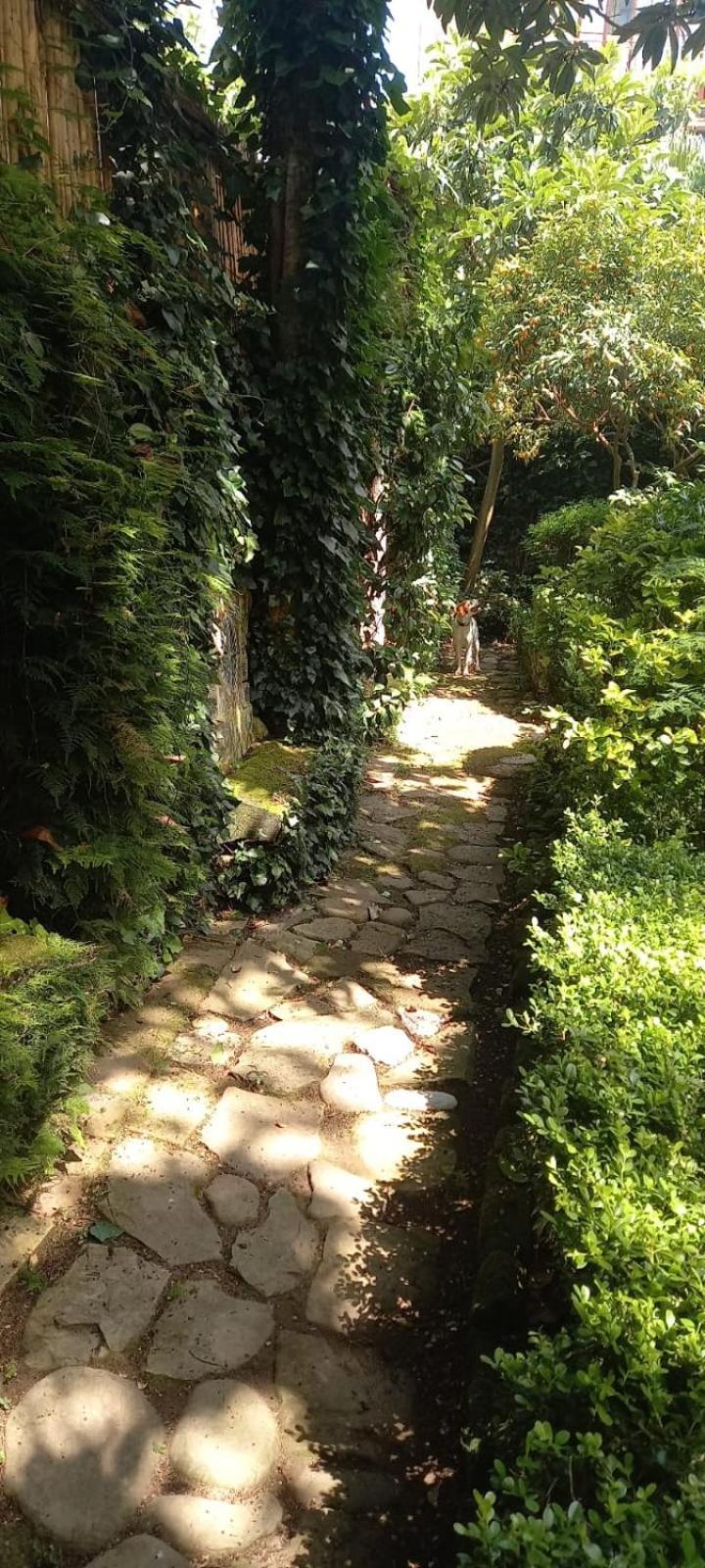 L'Antica Dimora Villa Meta Bagian luar foto