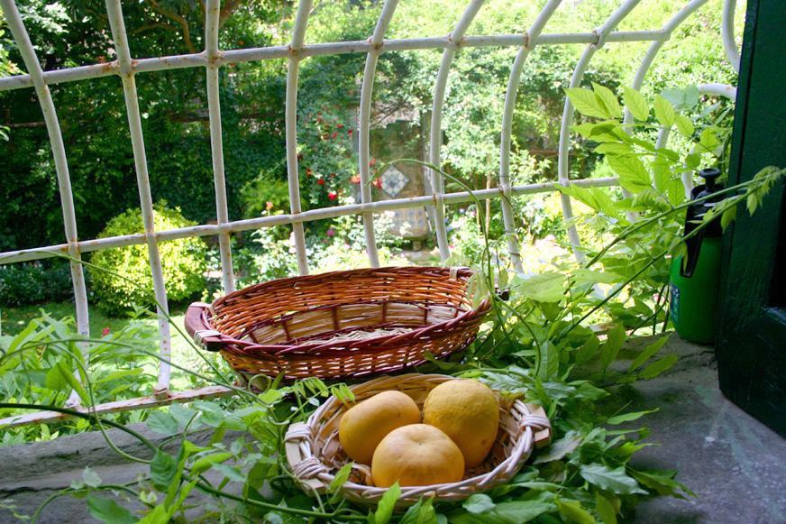 L'Antica Dimora Villa Meta Bagian luar foto