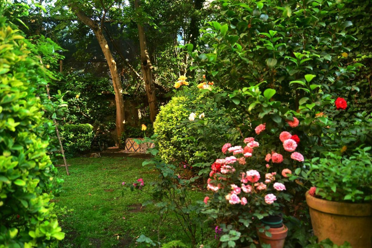 L'Antica Dimora Villa Meta Bagian luar foto