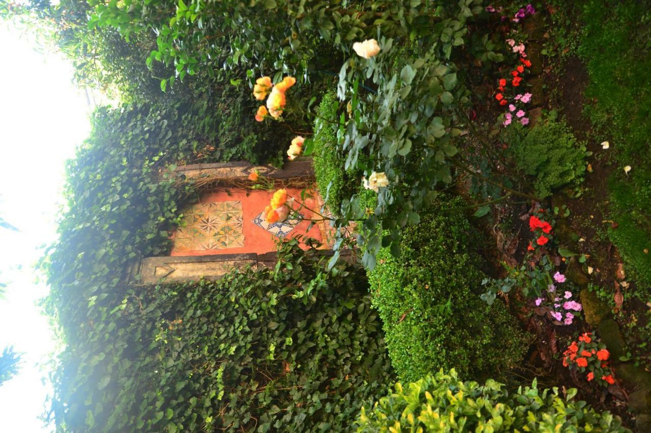 L'Antica Dimora Villa Meta Bagian luar foto